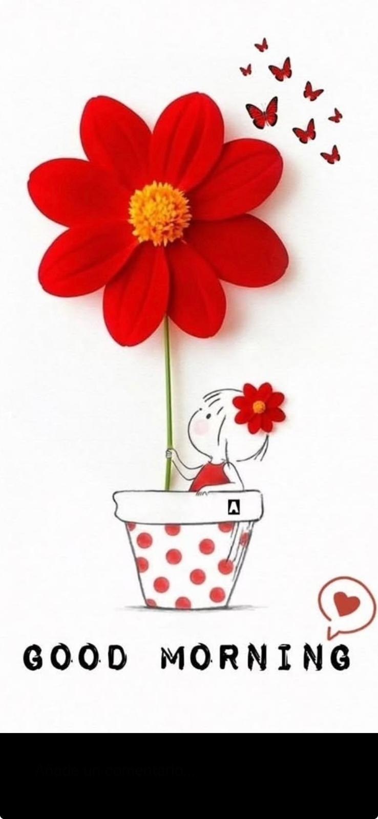 Ramo de rosas